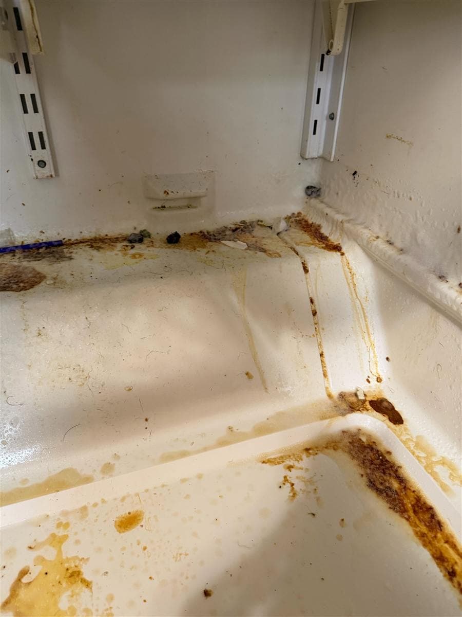 Refrigerator interior caked with spilled food residue before a deep clean.