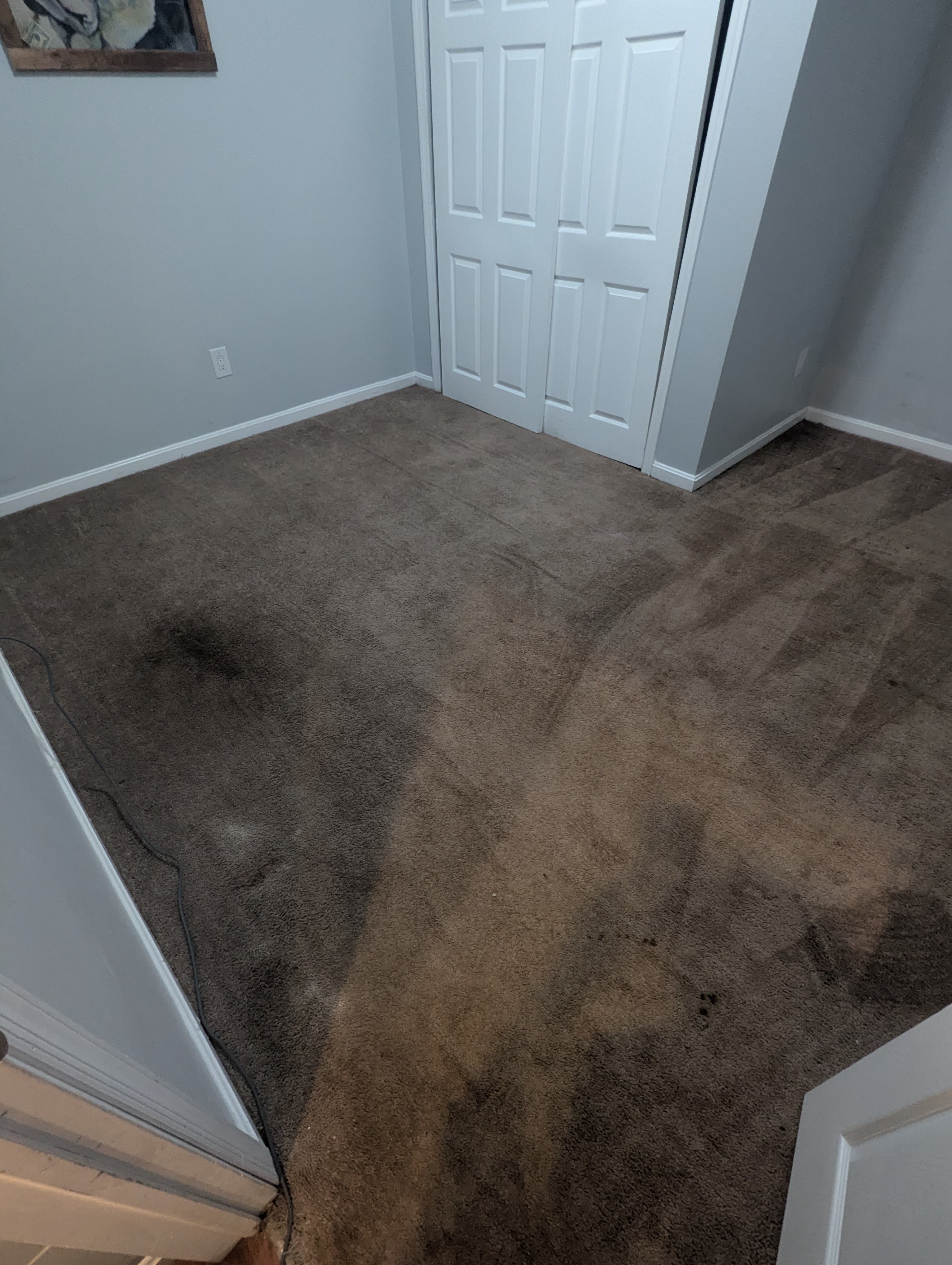 Stained carpet before cleaning