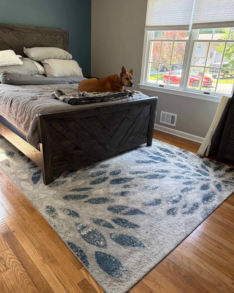 Neatly made bed in a clean bedroom with the family dog resting on top in Rockaway, NJ